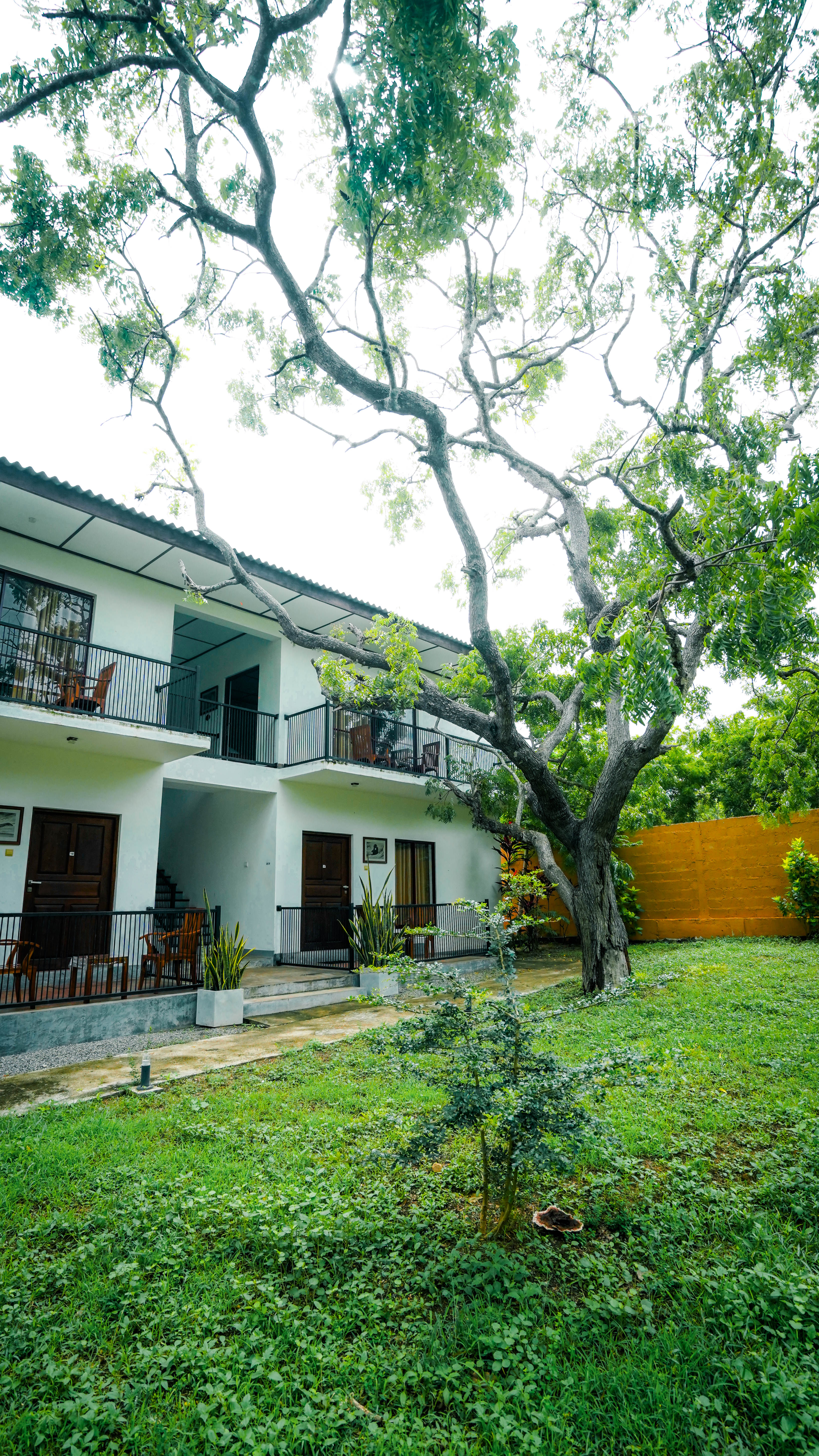 Exterior view of an Arana villa building behind a large tree in daytime