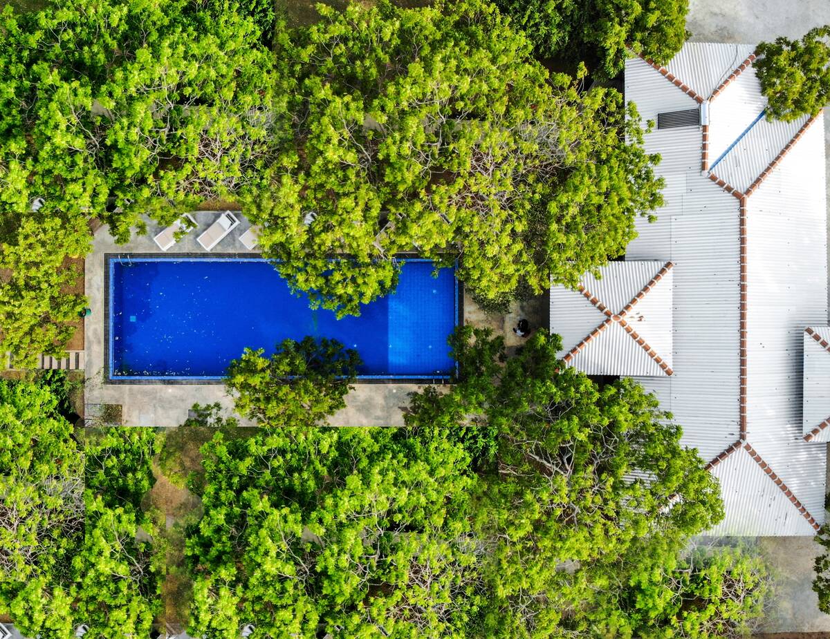 The Arana pool glimpsed through the tree canopy beside the tiled villa roofs