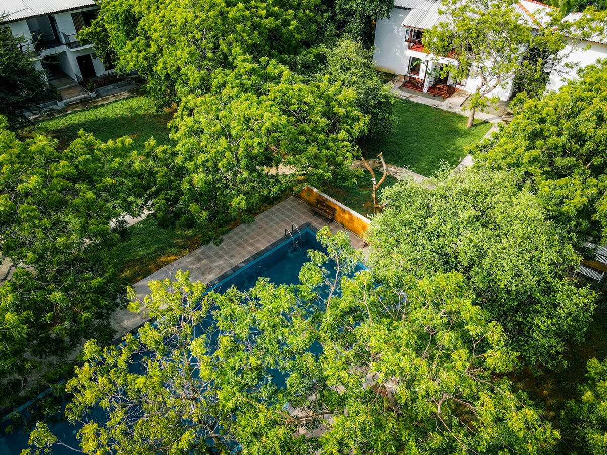 Aerial view of the Arana buildings and pool set amid jungle near Yala National Park