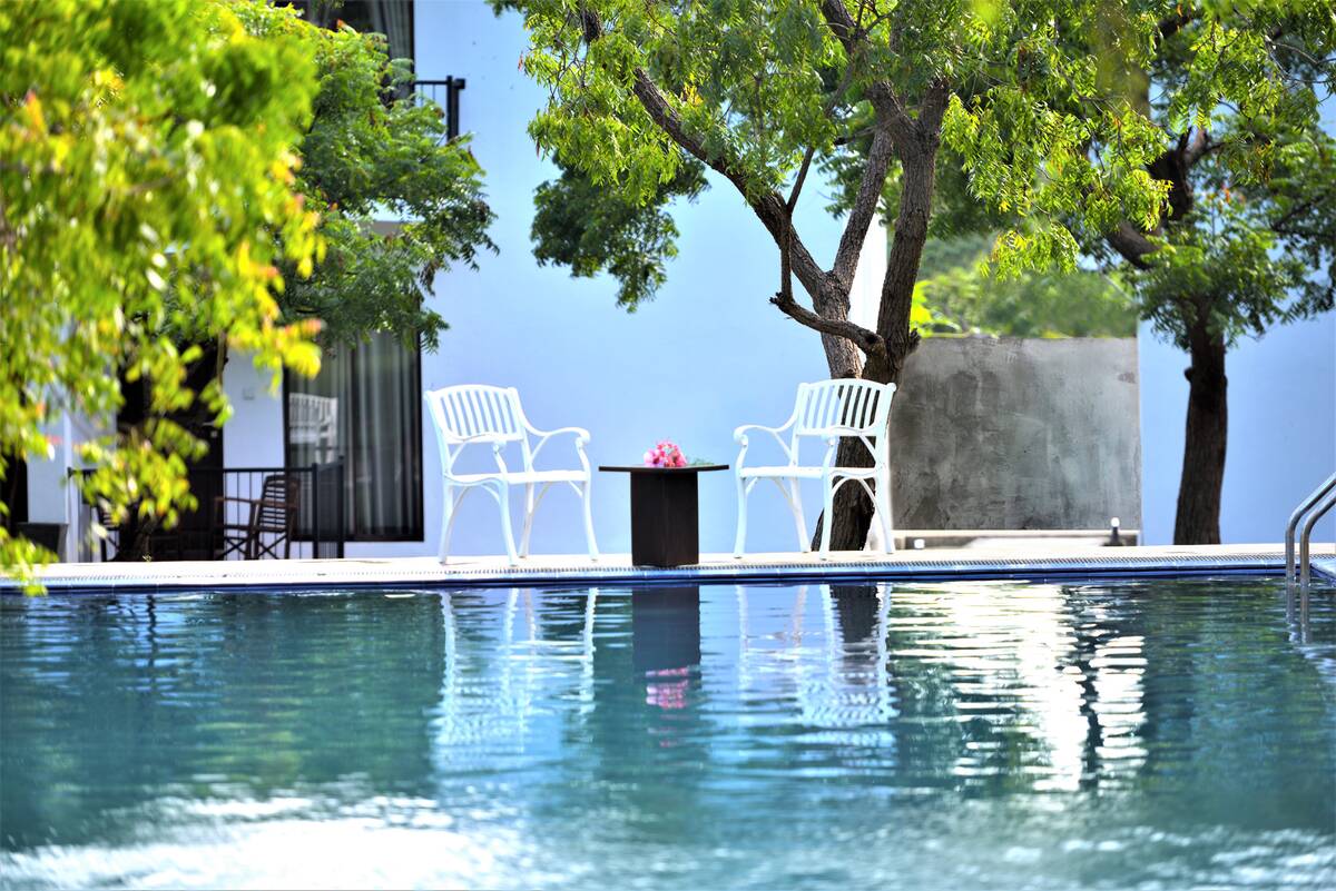 The Arana pool in turquoise daylight with loungers beneath the trees