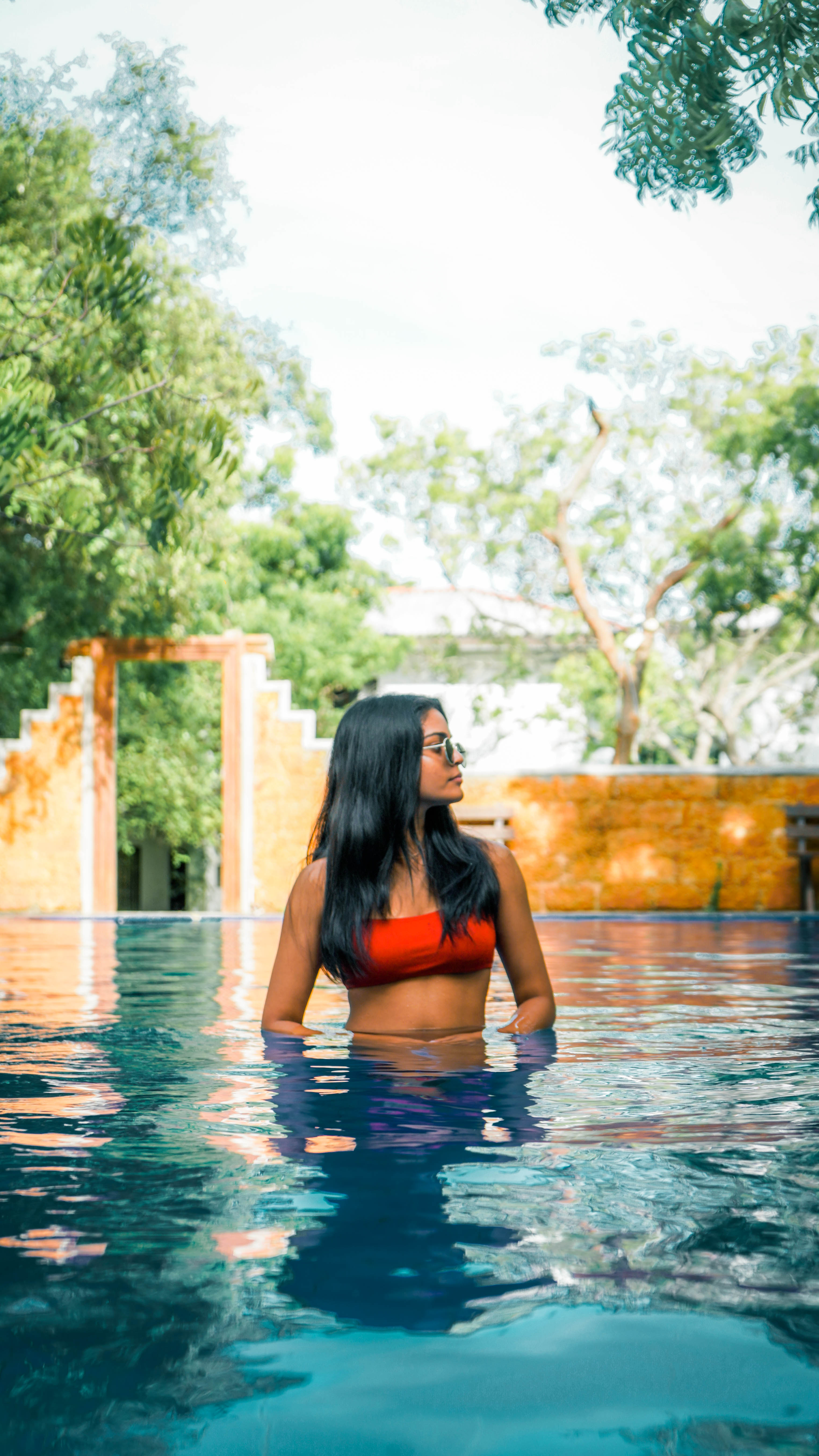 Arana's long pool against the garden tree line