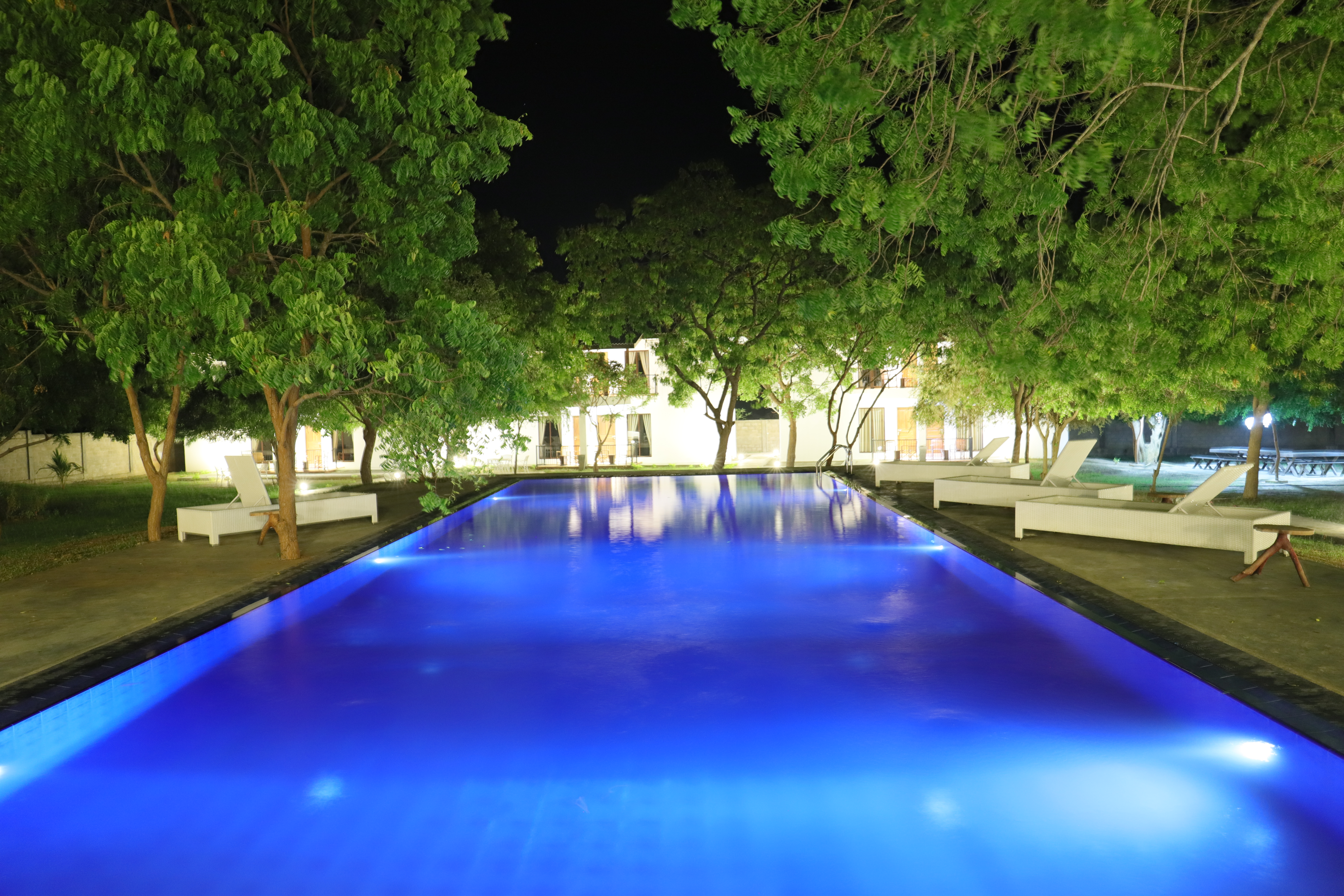 Arana's pool lit at night